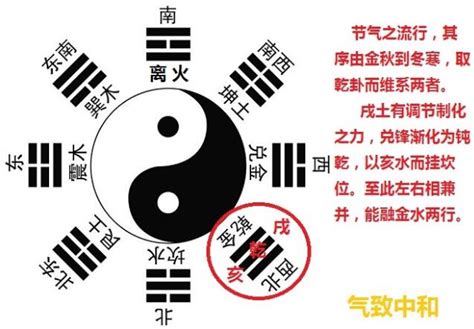 金巽|乾、兑为什么属金？震、巽为什么属木？